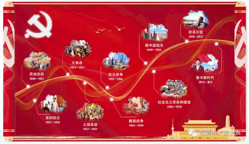 五彩鹦鹉救援