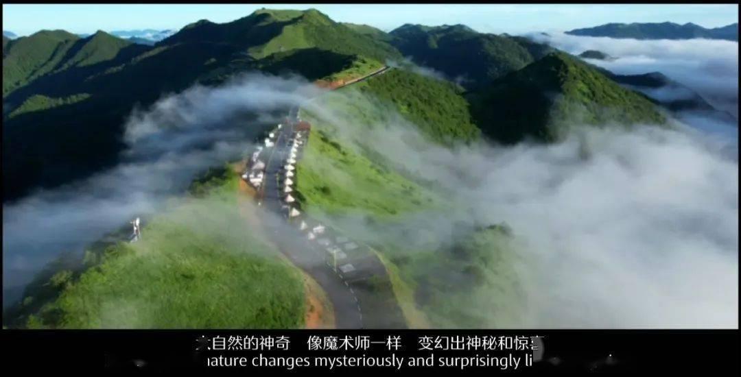 进击的飞机
